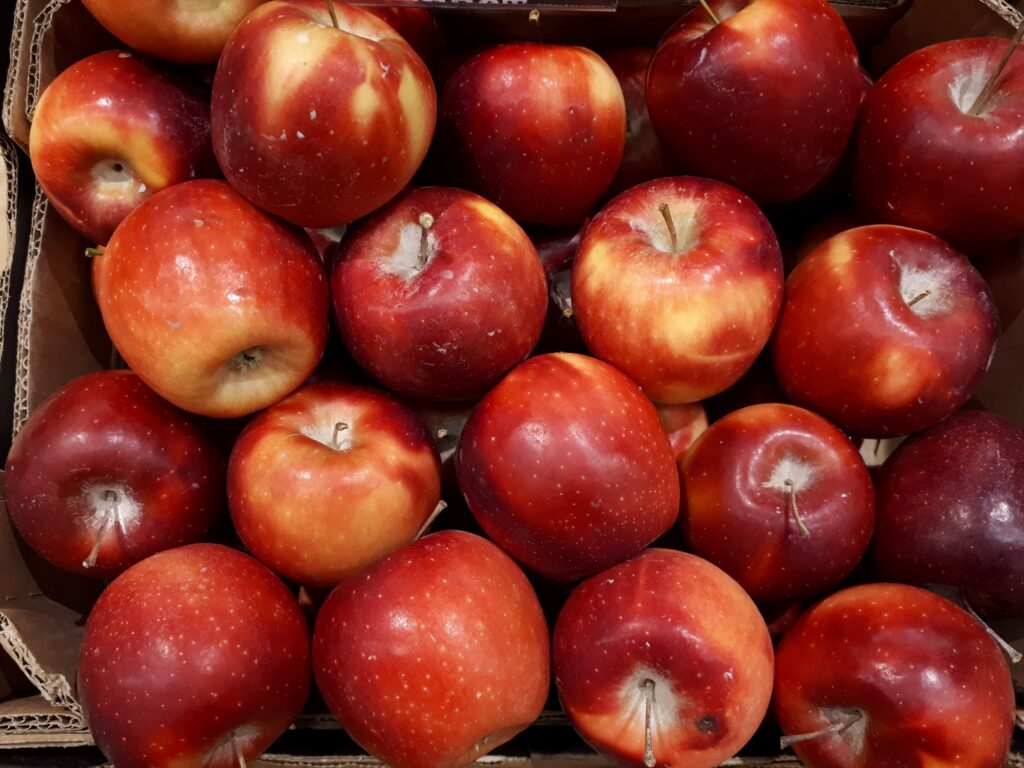 Exploring Different Apple Varieties in Vending Machines: Taste and Texture